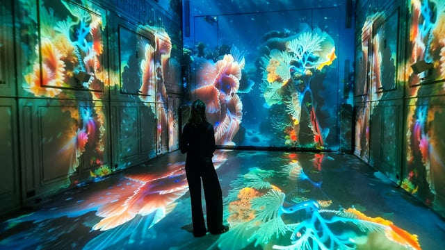 Superradiance - Xtopia Hope Istanbul 2024 - 20241205_172251